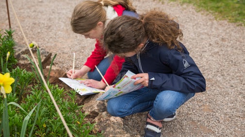 Two children crouch down, next to a flowerbed containing daffodils, to fill in the Easter trail leaflet at Tyntesfield, Somerset